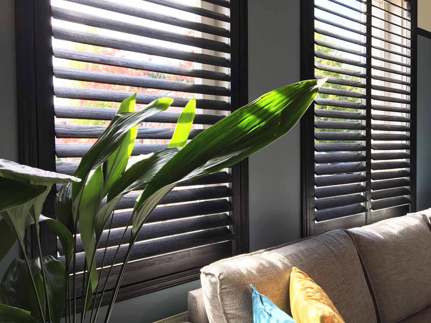Shutters avec grain de bois visible dans le salon