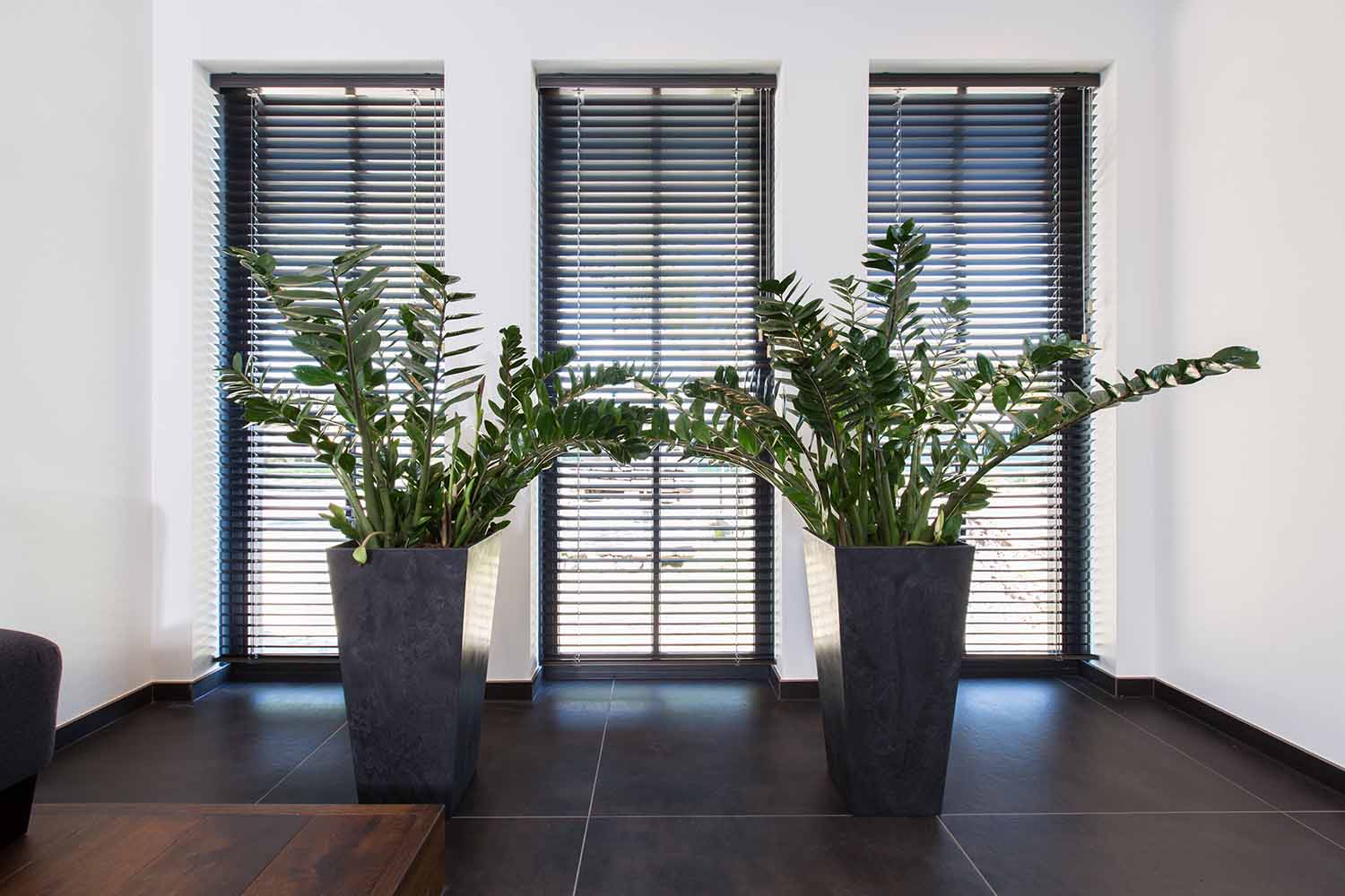 Stores en aluminium dans le salon