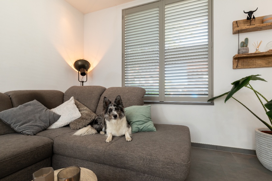 Salon avec shutters taupe