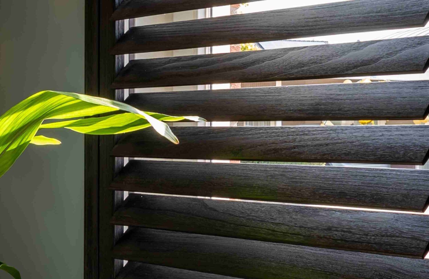 Houtnerf in zwarte shutters